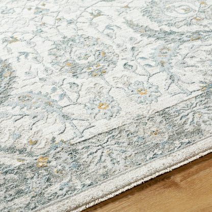 Dresden DRE-2326 Rug by Livabliss. Made from main: 100% polyester in a unique style.