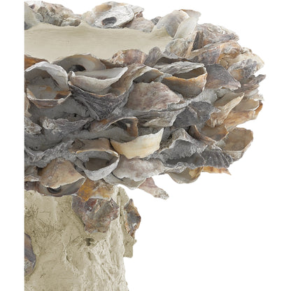Oyster Shell Bird Bath by Currey and Company. Made from oyster shells, concrete, iron in a eclectic & global style.