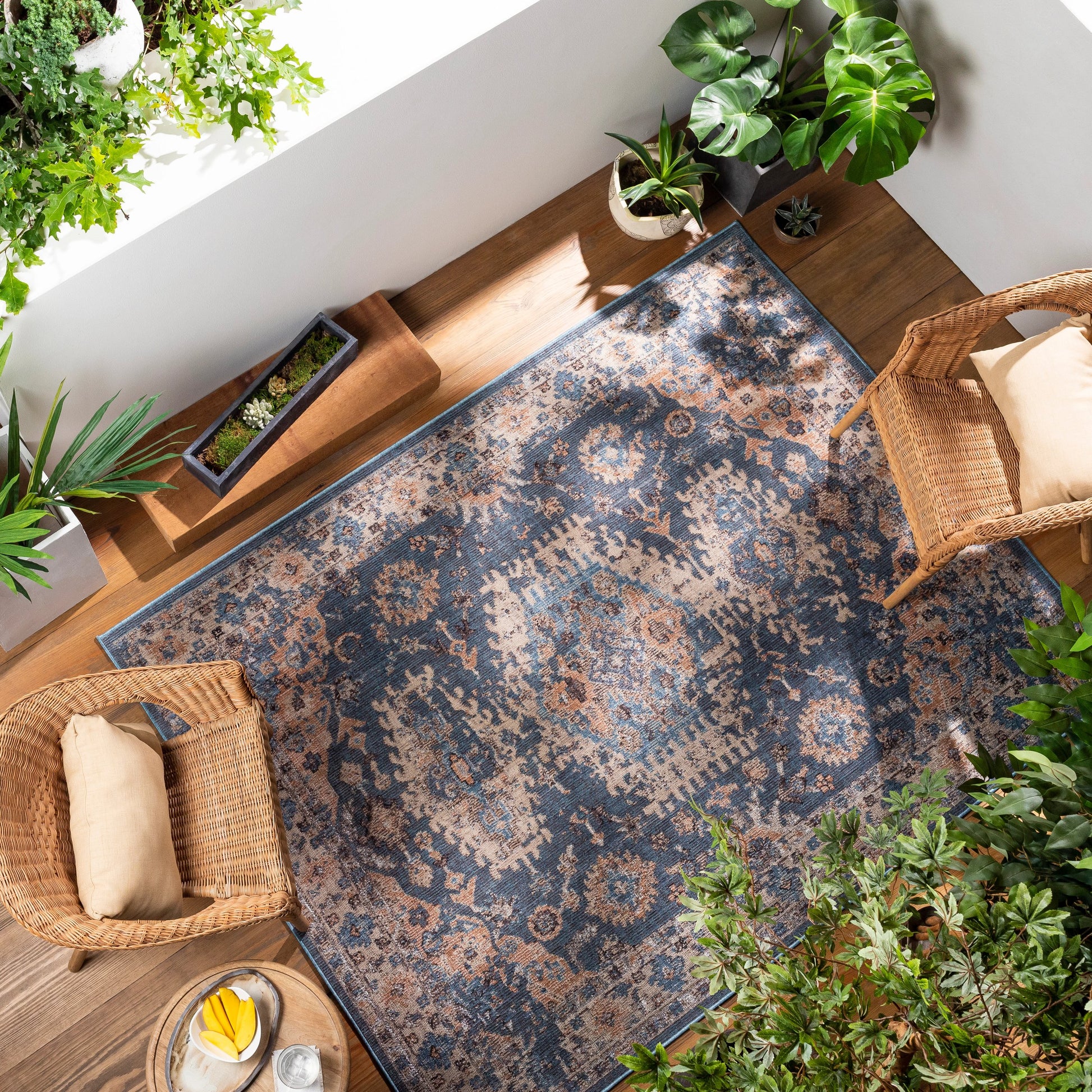 Daytona Beach Indoor/Outdoor Rug by Livabliss. Made from 92% polyester, 8% polypropylene in a traditional style.
