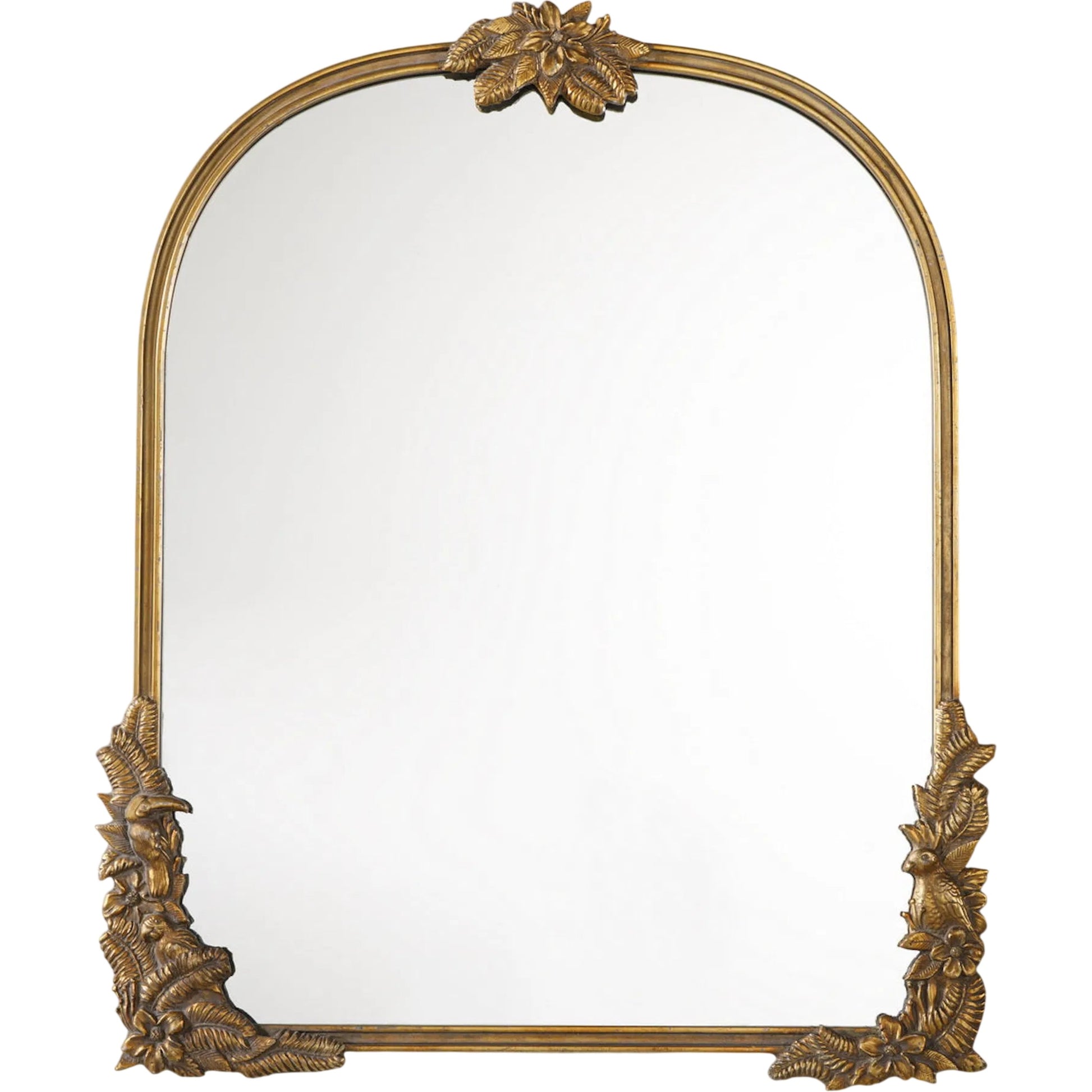 Amelie Arch Mirror by Zentique in distressed gold and gold. Made from iron, mirror, mdf in a unique style.