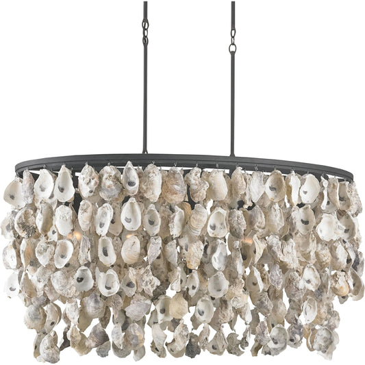Stillwater Chandelier by Currey and Company in natural, black smith. Made from oyster shell, wrought iron in a coastal style.