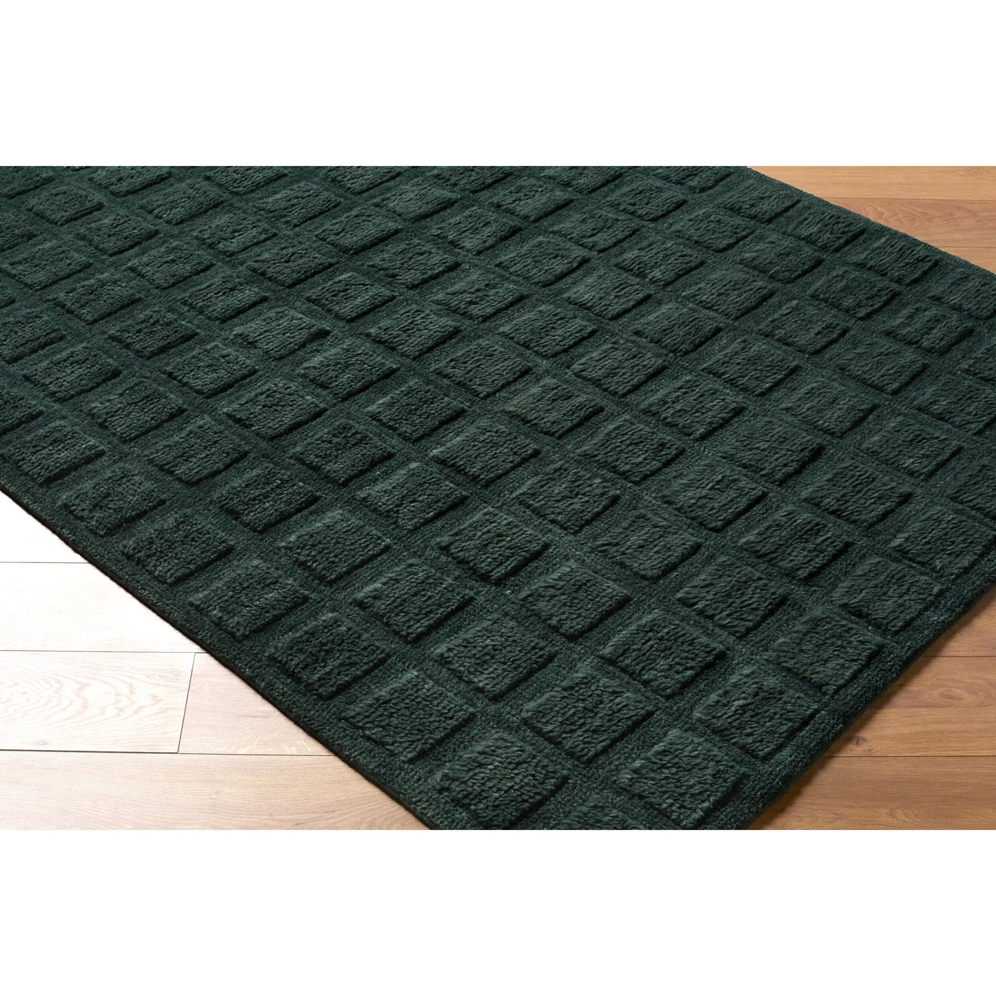 001 SI-2632072,SI-2632073,SI-2632074,SI-2632075,SI-2632076 | Closeup | Eleve EEV-2302 Rug by Livabliss in emerald, forest green, charcoal. Made from wool, cotton in a unique style.
