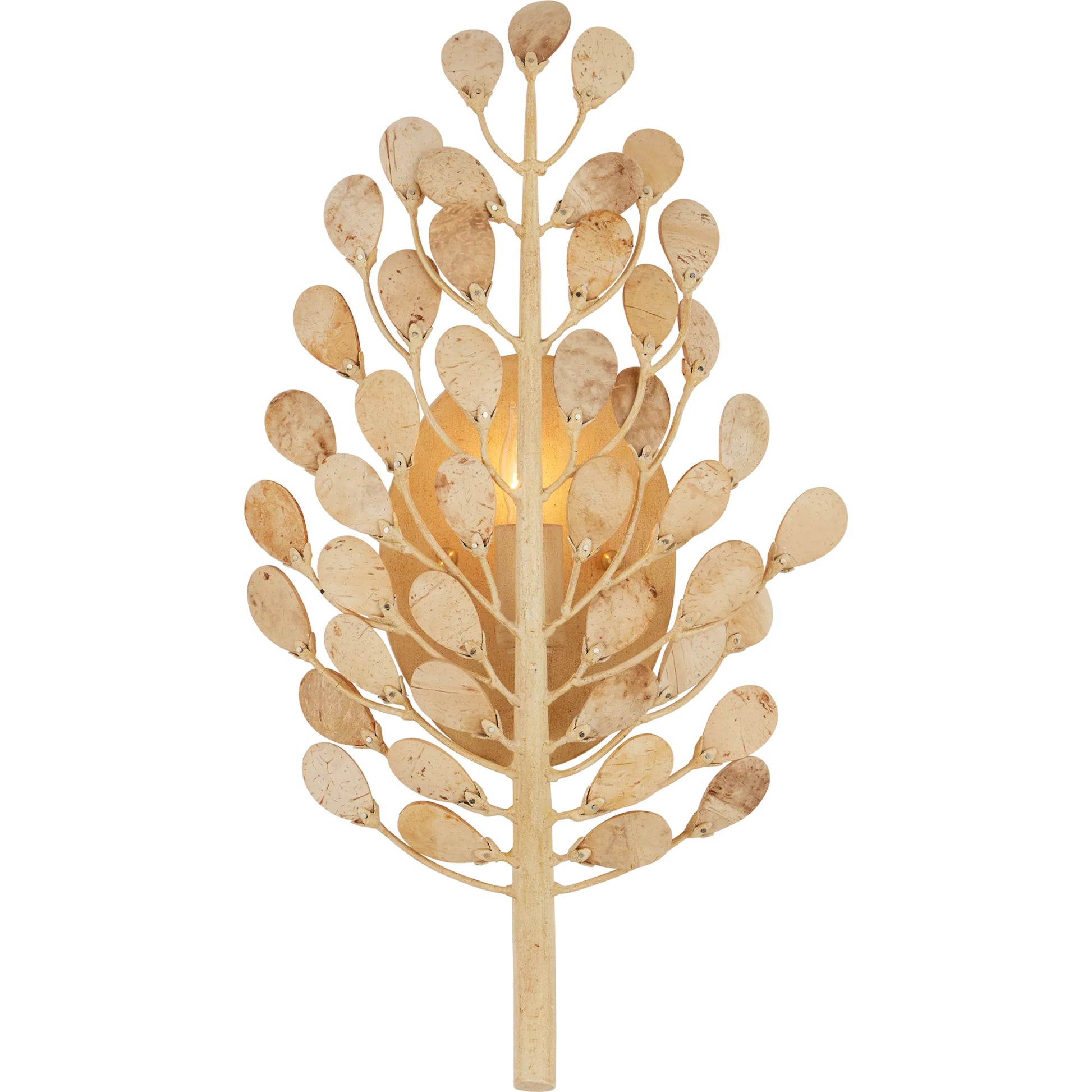 Maypan Wall Sconce by Currey and Company in natural, coco cream. Made from coco shells, wrought iron in a modern style.