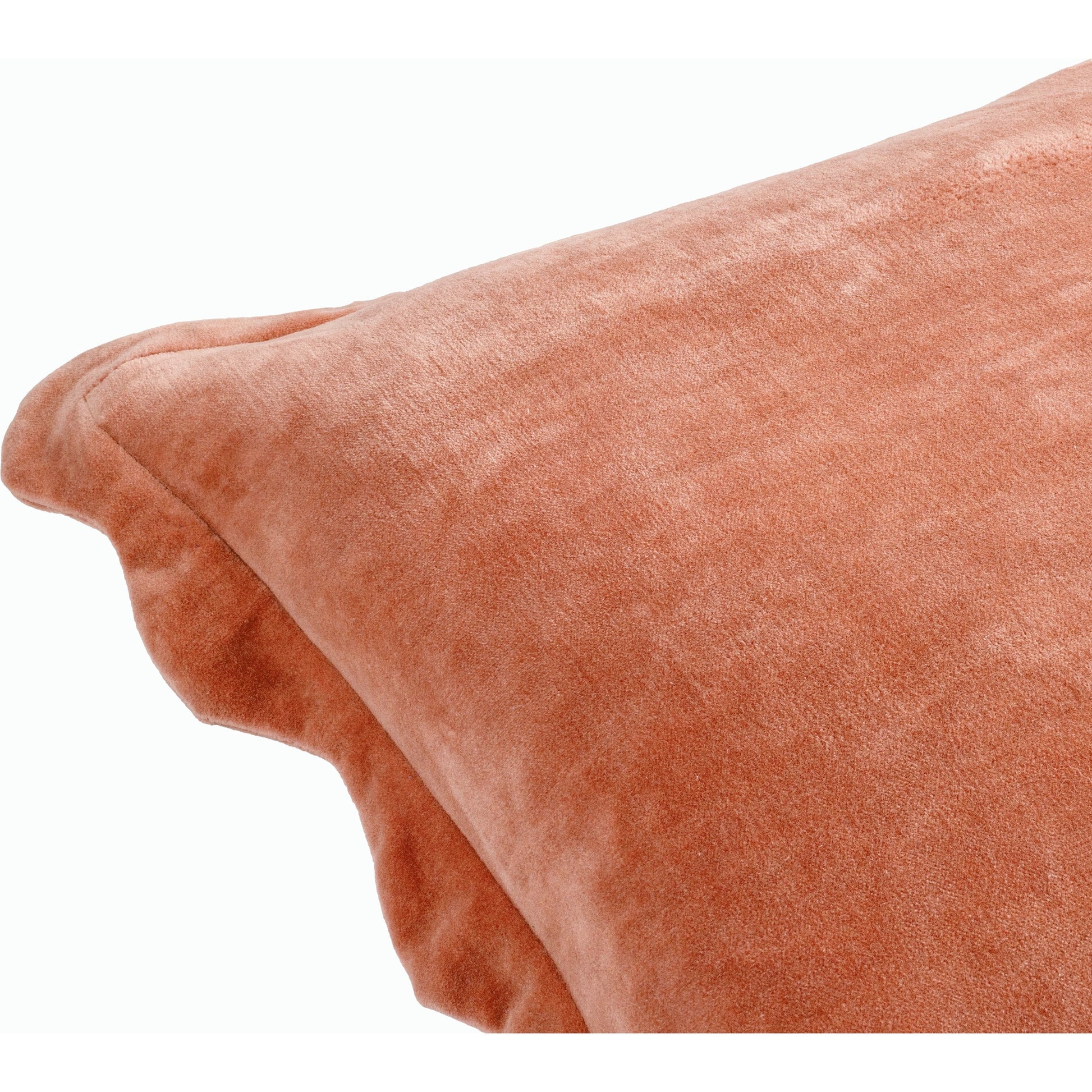 Effervescent Accent Pillow by Surya. Made from cotton in a modern style.