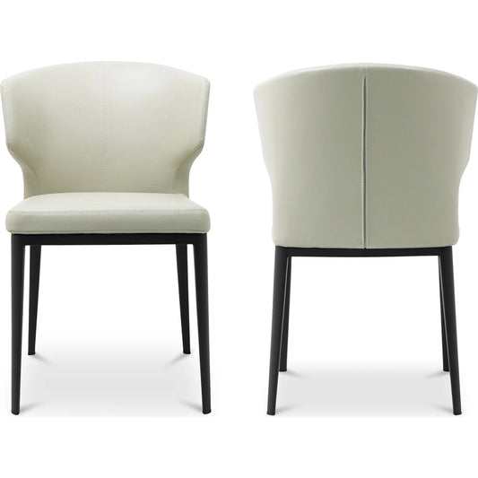 Delaney Side Chair (Set of 2) by Moe's Home Collection. Made from unique in a modern style.