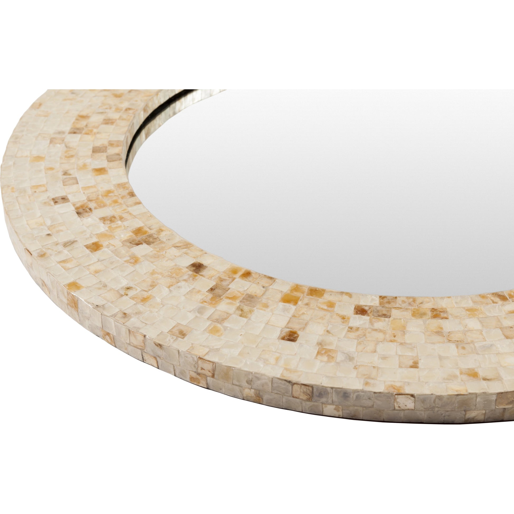 Eckley Mirror - 16233 by Surya in green, aqua. Made from mdf in a coastal style.