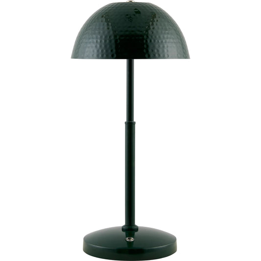 Elvas Accent Table Lamp by Livabliss in painted. Made from iron, metal in a unique style.