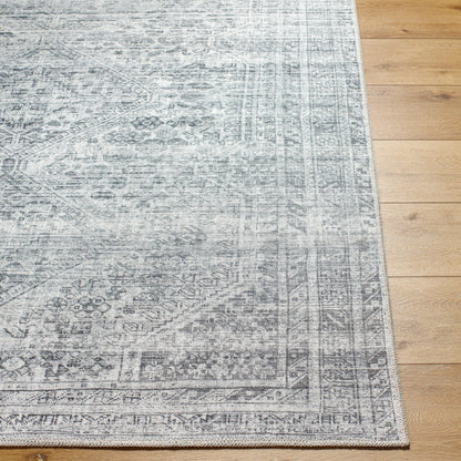 Embrace EMA-2311 Rug by Livabliss. Made from face: 100% polyester, warp: 85% cotton, 15% polyester in a unique style.