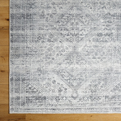Embrace EMA-2311 Rug by Livabliss. Made from face: 100% polyester, warp: 85% cotton, 15% polyester in a unique style.