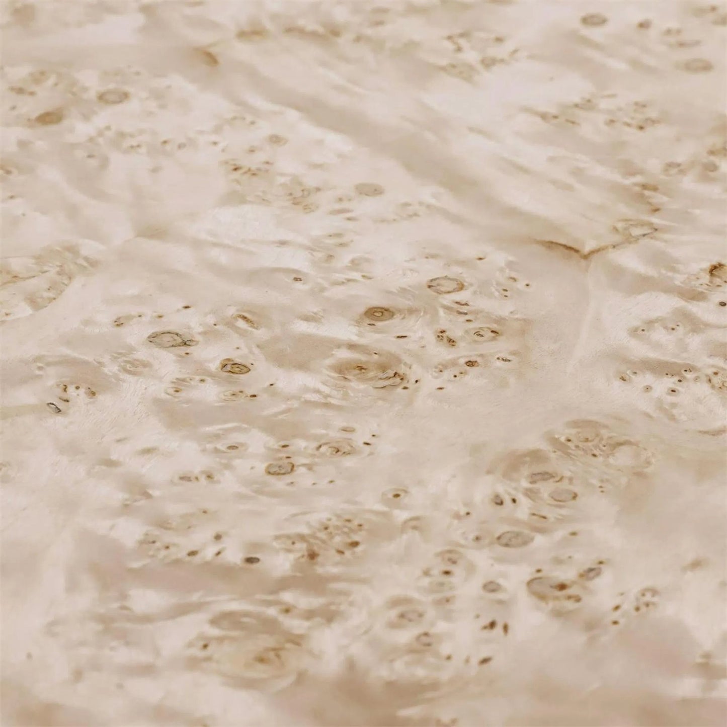 004 SI-2373208 | Closeup | Envoy Four-Door Credenza by John-Richard in white and canvass. Made from mappa burl in a transitional style.