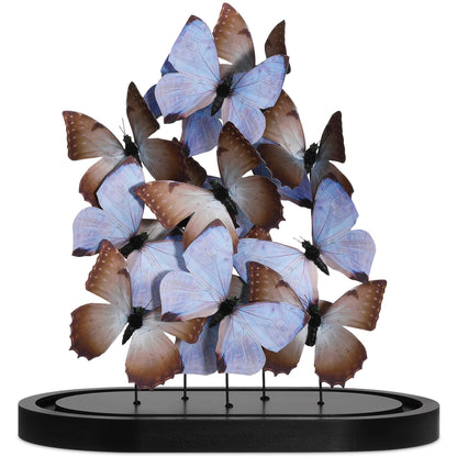 Rue De Bac Butterflies by Currey and Company. Made from paper, engineered wood, glass in a modern style.