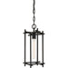 Huck Pendant by Troy. Made from aluminum, stainless steel in a transitional style.