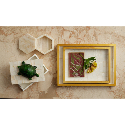 Casey Mother of Pearl Tray Set by Currey and Company in natural, brass. Made from mother of pearl, stainless steel, wood in a unique style.