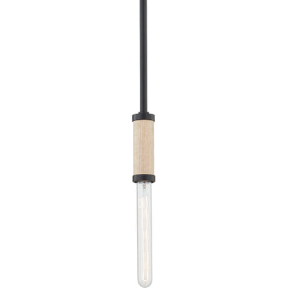 Cruiz Pendant by Troy in soft black. Made from iron, steel in a modern style.
