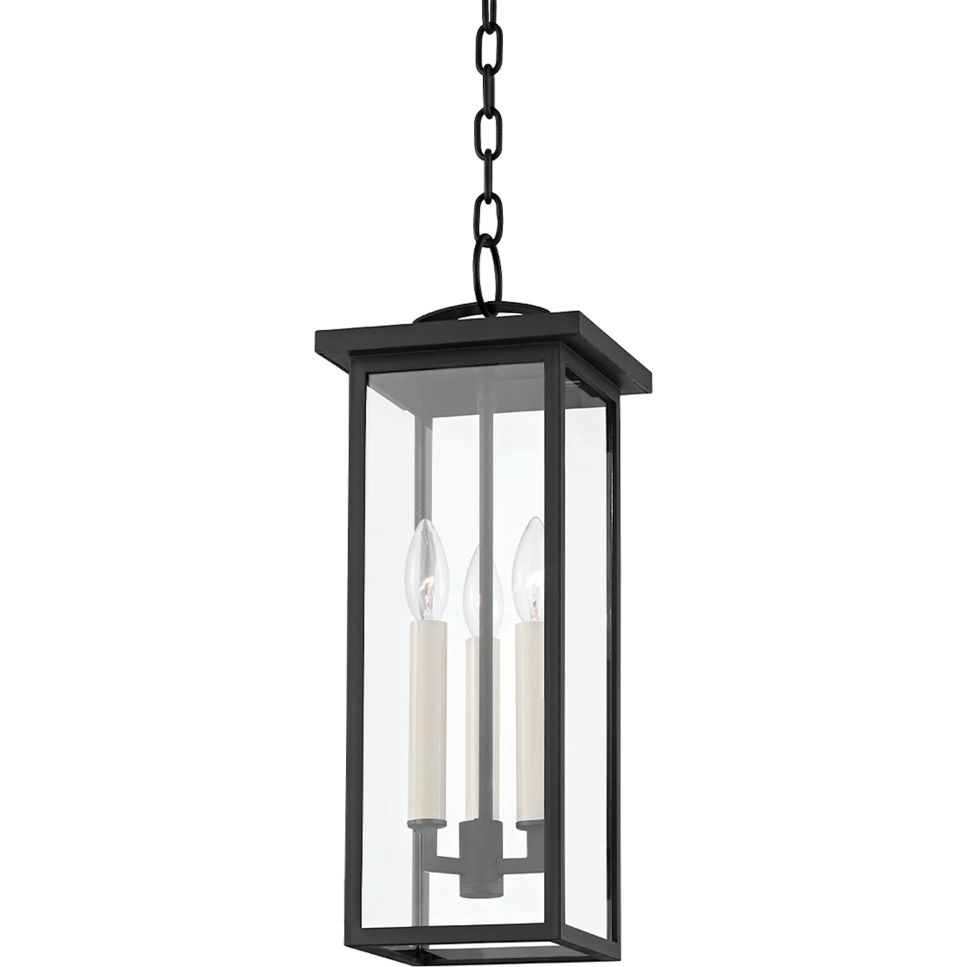 Eden Exterior Lantern by Troy. Made from aluminum, stainless steel in a transitional style.