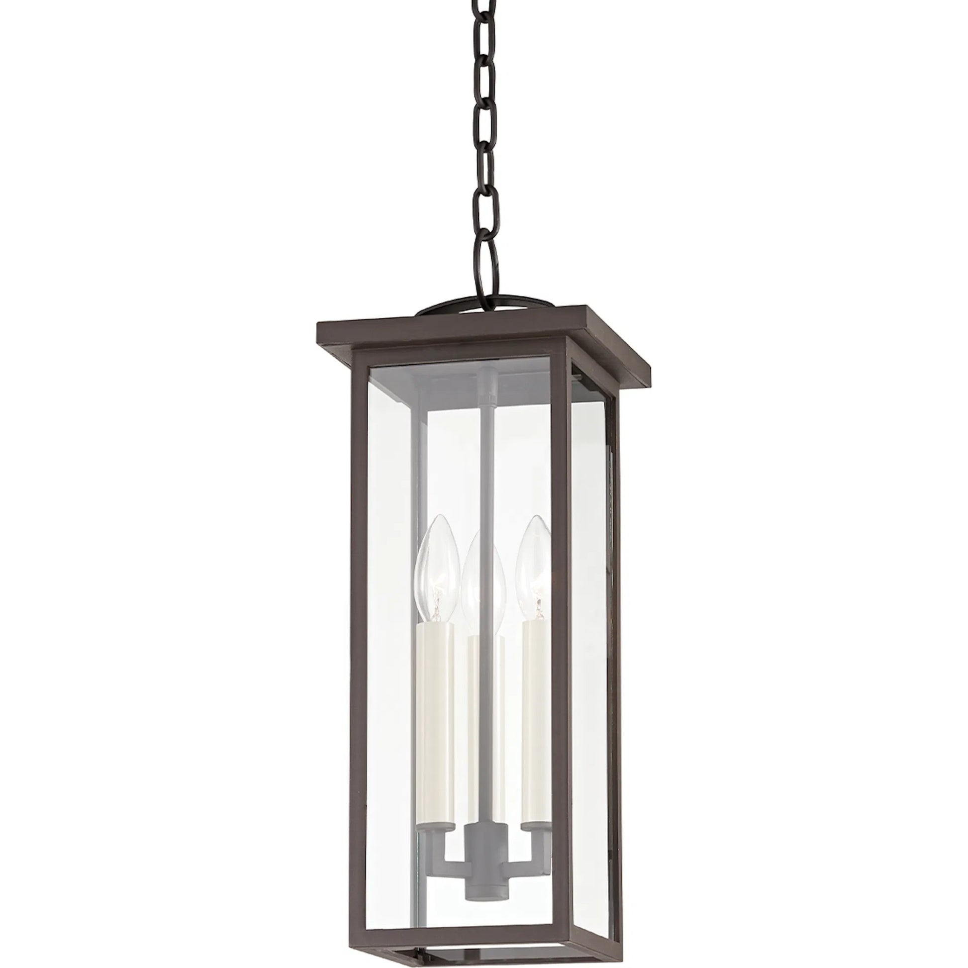Eden Exterior Lantern by Troy. Made from aluminum, stainless steel in a transitional style.