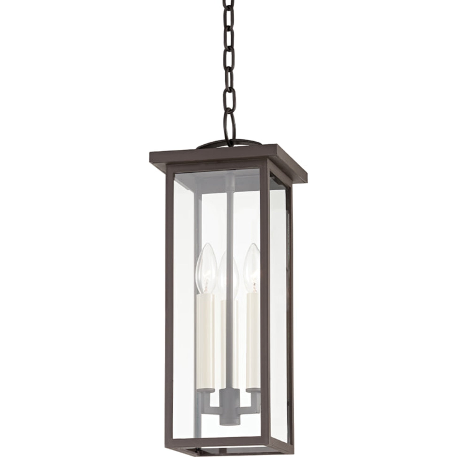 Eden Exterior Lantern by Troy. Made from aluminum, stainless steel in a transitional style.