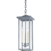 Eden Exterior Lantern by Troy. Made from aluminum, stainless steel in a transitional style.