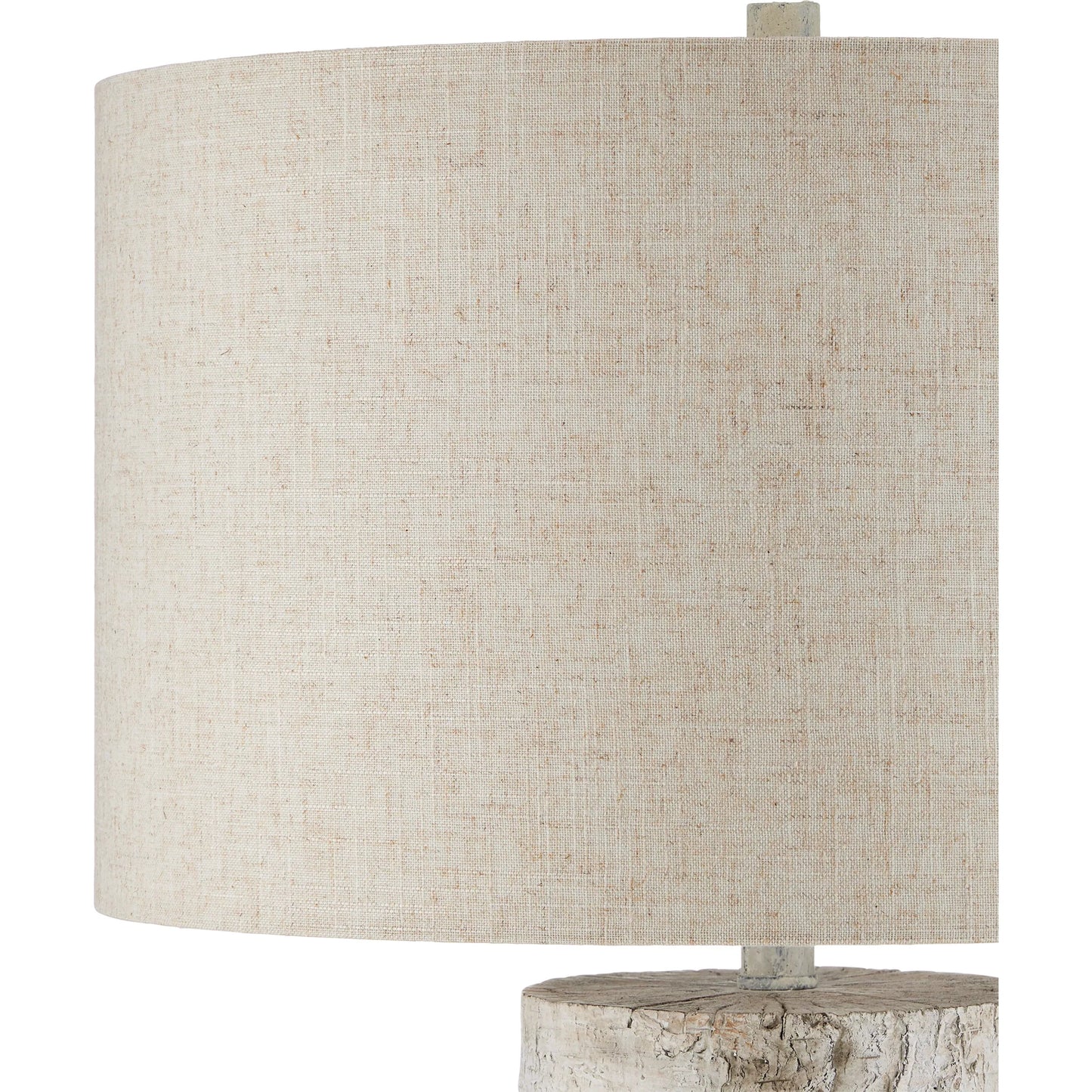 004 SI-2257351 | Closeup | Faux Birch Table Lamp by Currey and Company in birch white, gray. Made from cement in a modern style.