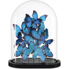 Blue, Black, Clear / Large