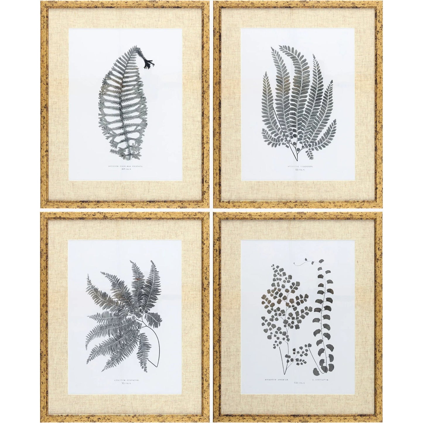 000 SI-2632212 | Primary Silo | Ferne Framed Art (Set of 4) by Livabliss. Made from canvas, polystyrene in a unique style.