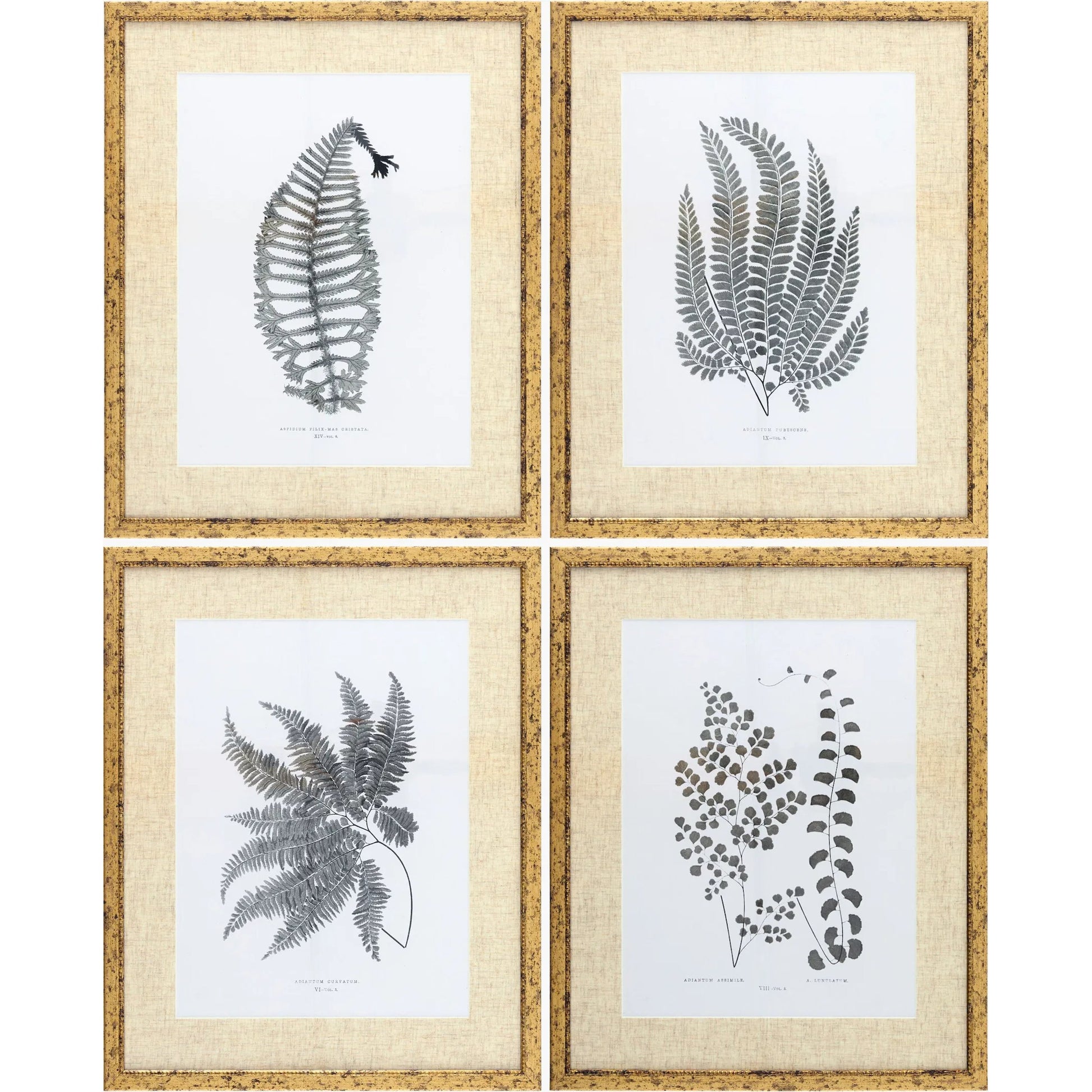 Ferne Framed Art (Set of 4) by Livabliss. Made from canvas, polystyrene in a unique style.