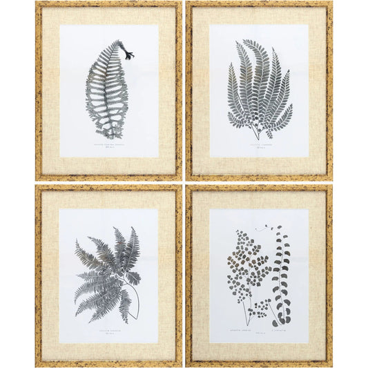 Ferne Framed Art (Set of 4) by Livabliss. Made from canvas, polystyrene in a unique style.