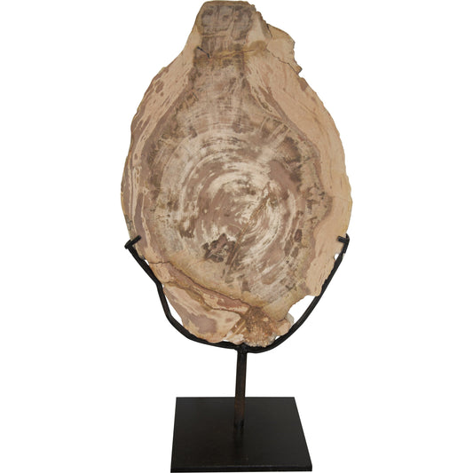Wood Fossil by Noir in fossil, metal. Made from fossil, metal in a eclectic & global style.