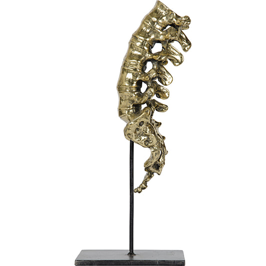 Vertebrae by Noir in brass, metal. Made from brass, metal in a modern style.