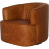 Brown, Saddle