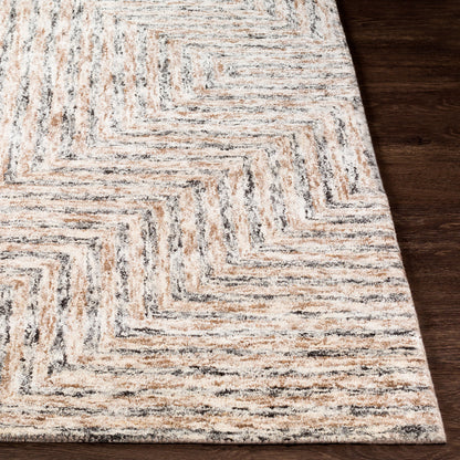 Falcon FLC-8000 Rug by Surya in light gray, taupe, dark brown. Made from 70% viscose, 30% wool in a unique style.