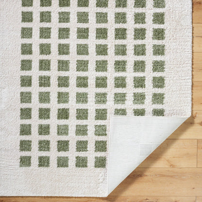 Fossay Shag FSG-2318 Rug by Livabliss. Made from polyester in a unique style.