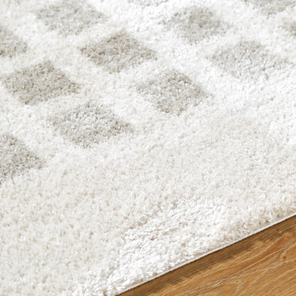 Fossay Shag FSG-2318 Rug by Livabliss. Made from polyester in a unique style.