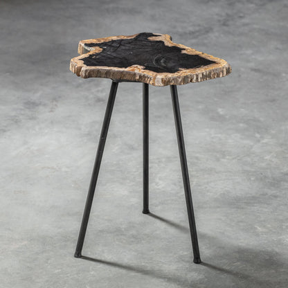 Mircea Petrified Wood Accent Table by Uttermost in wood. Made from 77% petrified wood, 20% plywood, 3% metal in a modern style.
