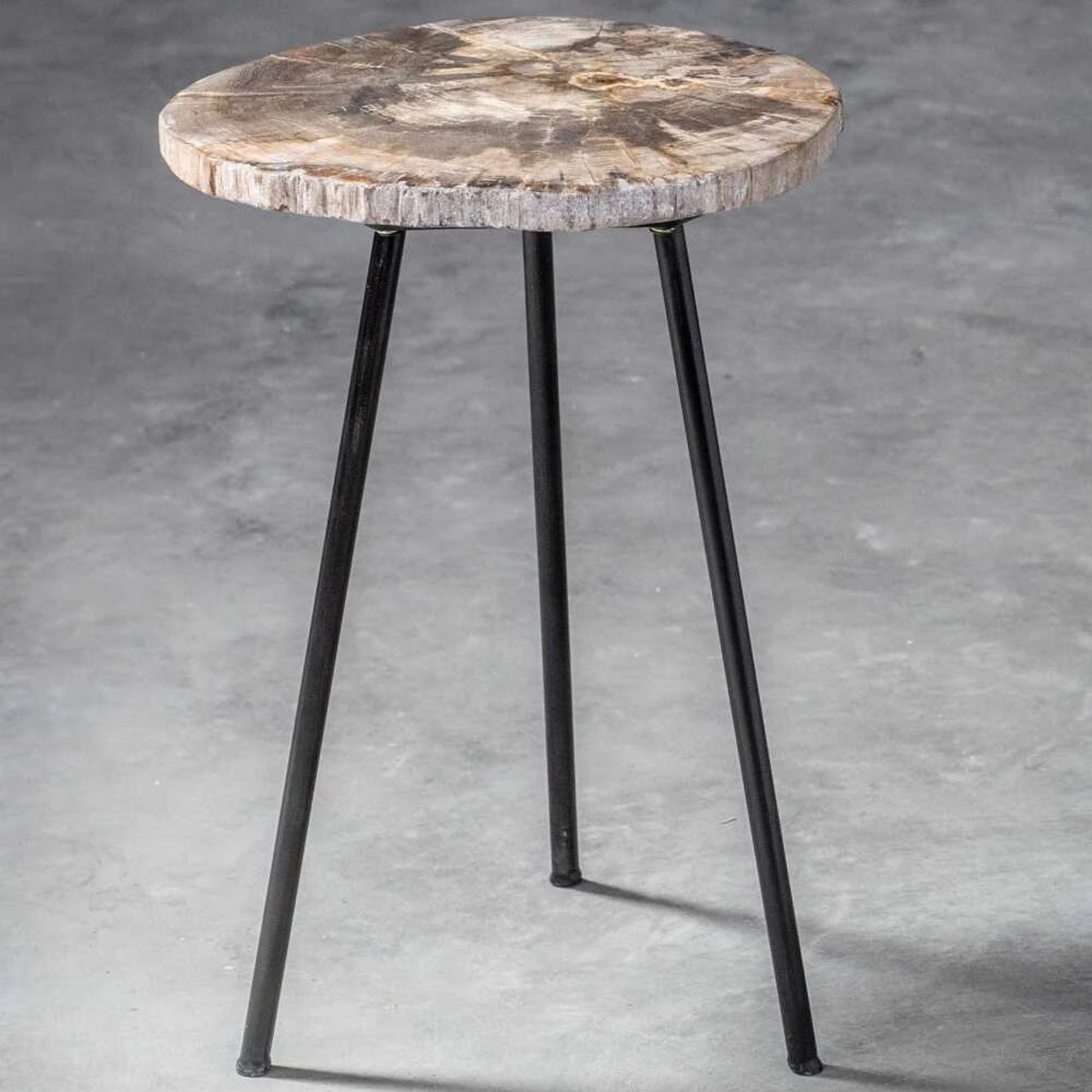 Mircea Petrified Wood Accent Table by Uttermost in wood. Made from 77% petrified wood, 20% plywood, 3% metal in a modern style.