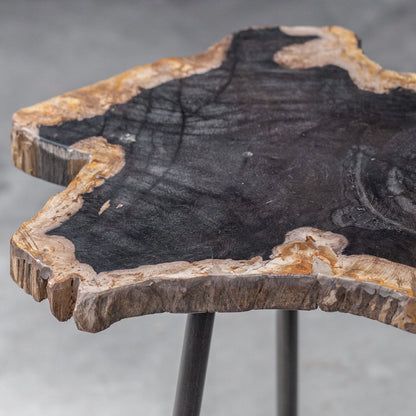 Mircea Petrified Wood Accent Table by Uttermost in wood. Made from 77% petrified wood, 20% plywood, 3% metal in a modern style.