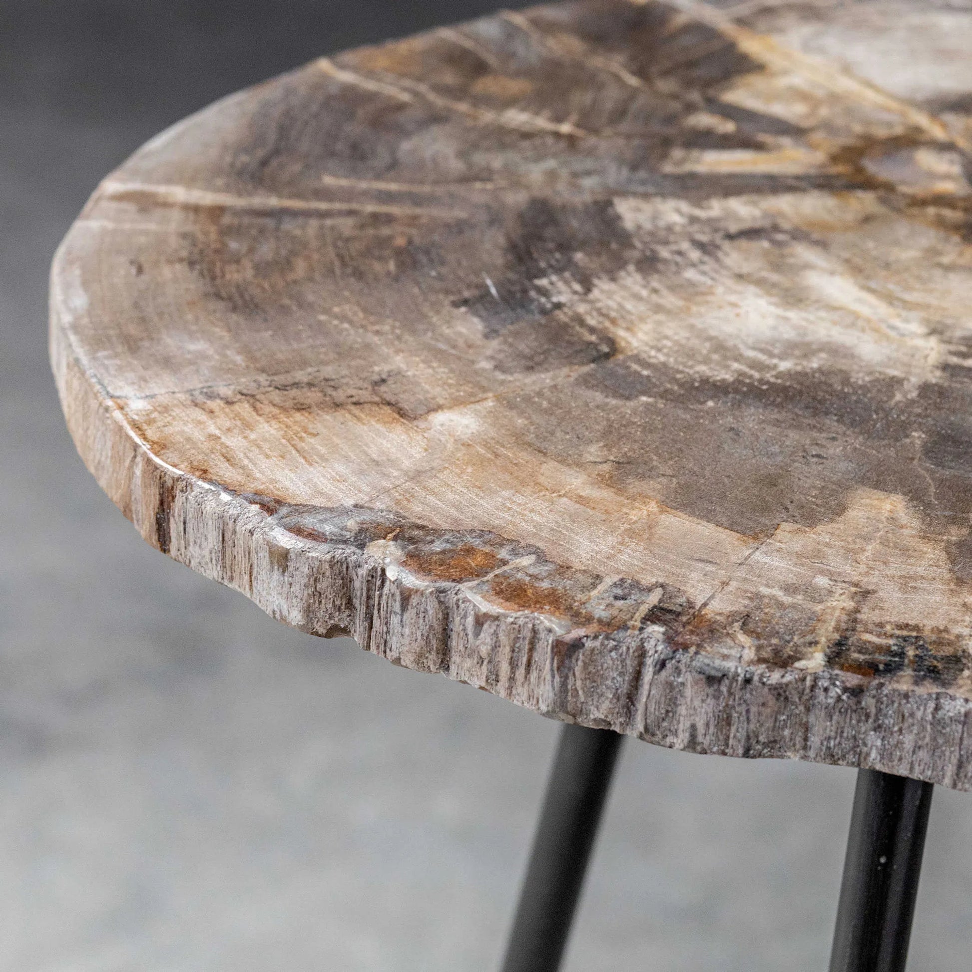 Mircea Petrified Wood Accent Table by Uttermost in wood. Made from 77% petrified wood, 20% plywood, 3% metal in a modern style.