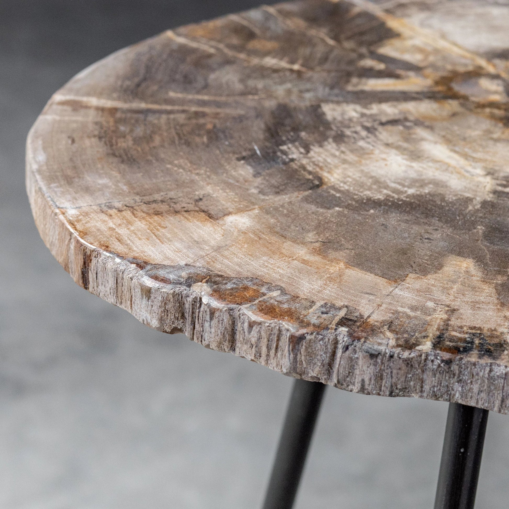 Mircea Petrified Wood Accent Table by Uttermost in wood. Made from 77% petrified wood, 20% plywood, 3% metal in a modern style.