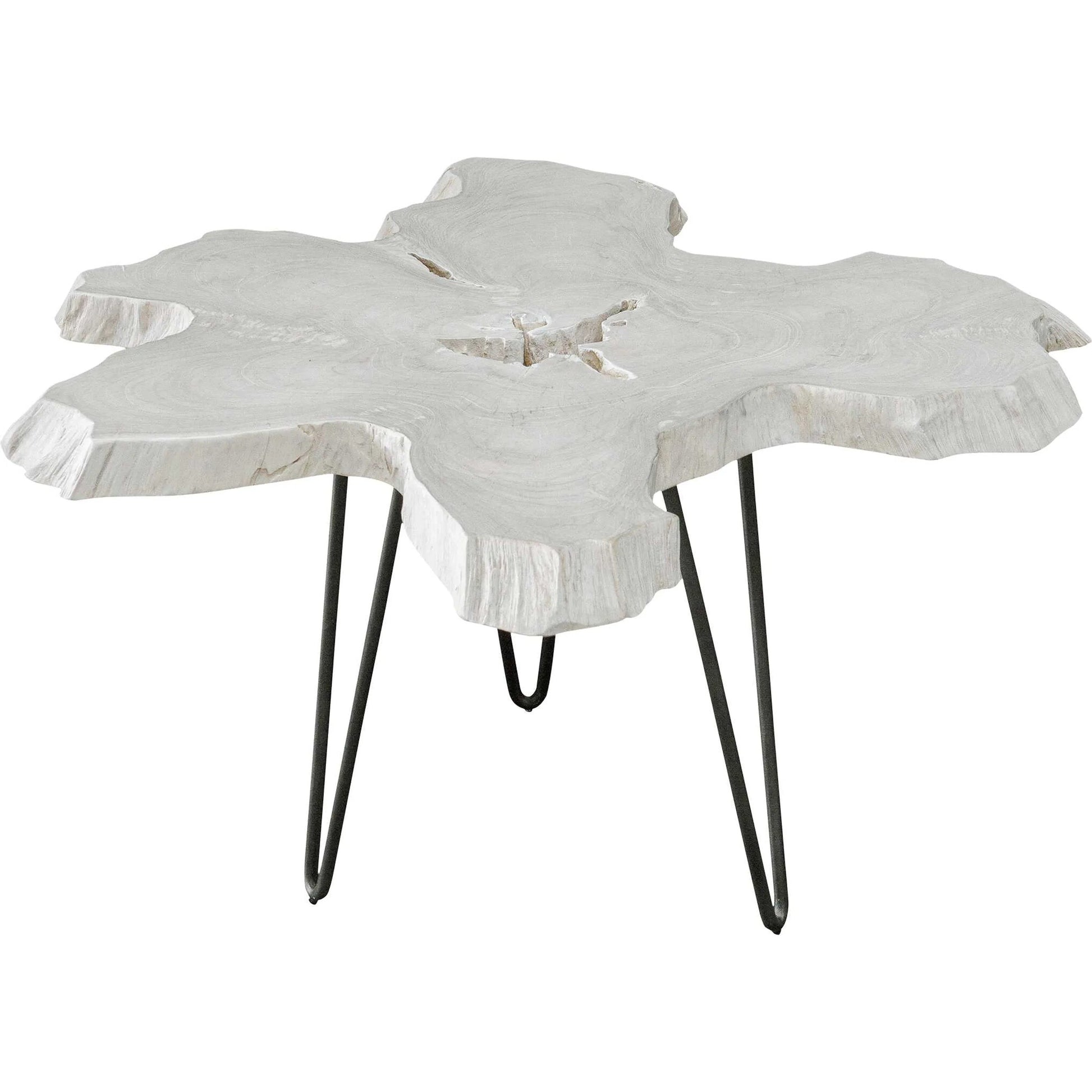 Trillium Coffee Table by Uttermost in bleached. Made from teak root with metal in a modern style.