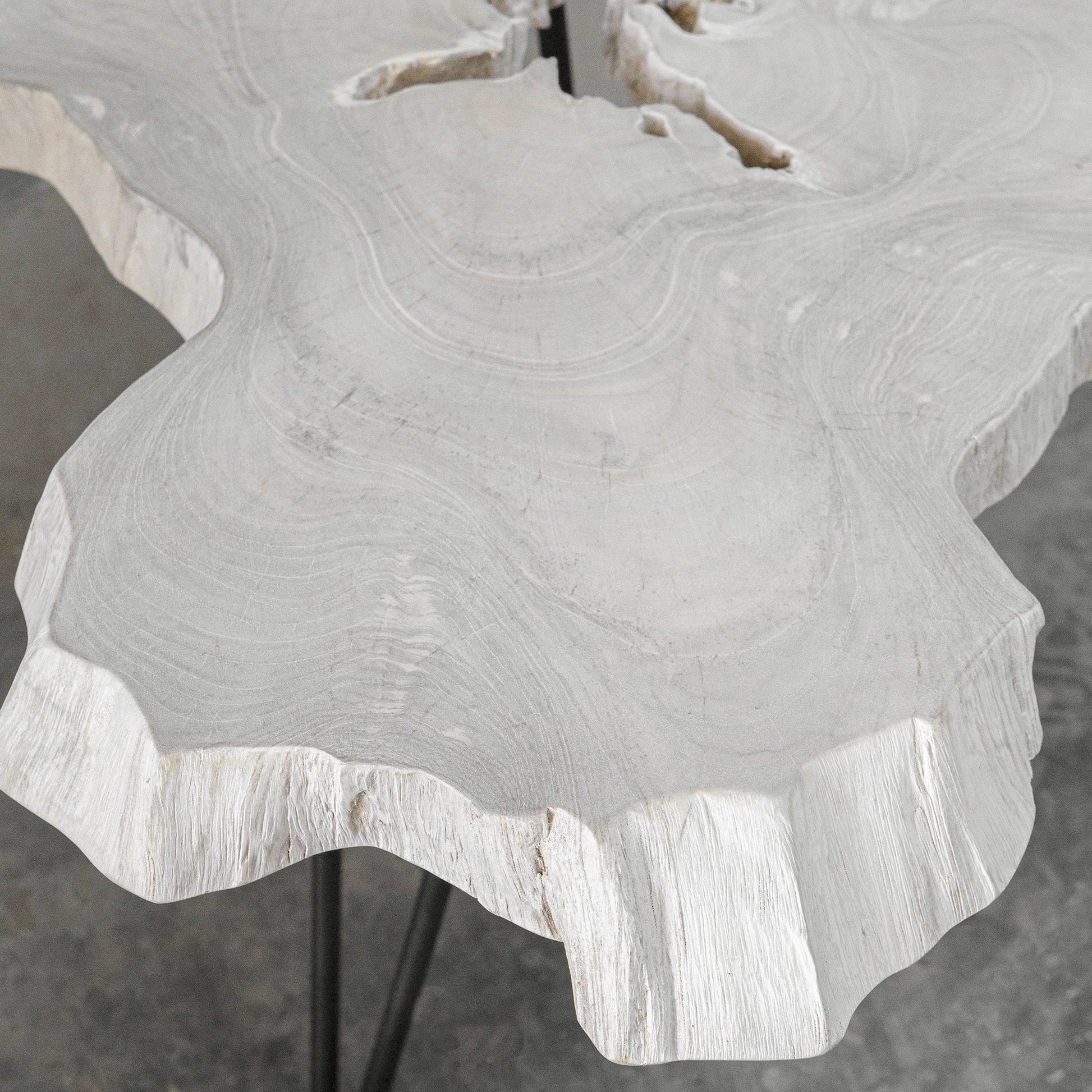 Trillium Coffee Table by Uttermost in bleached. Made from teak root with metal in a modern style.