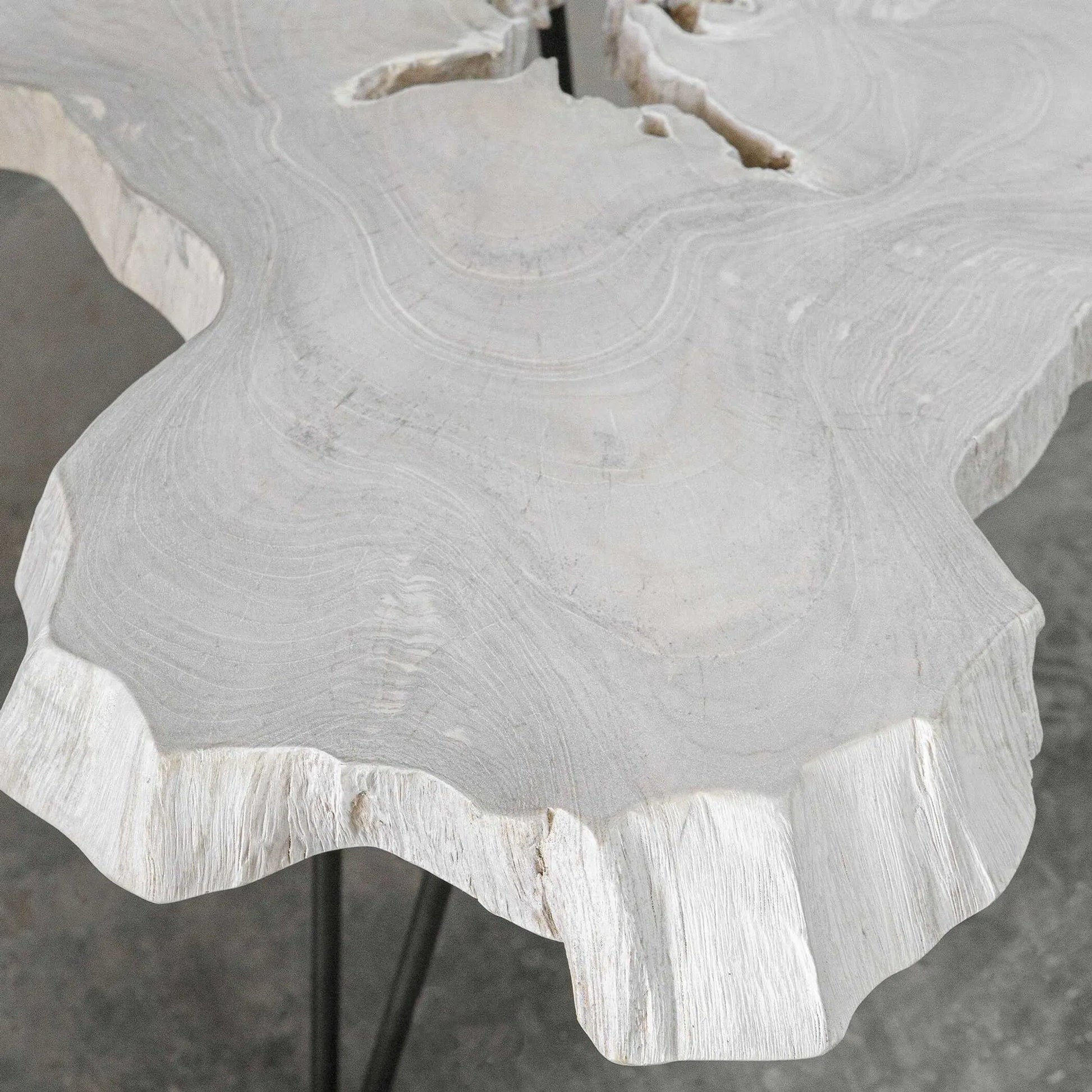 Trillium Coffee Table by Uttermost in bleached. Made from teak root with metal in a modern style.