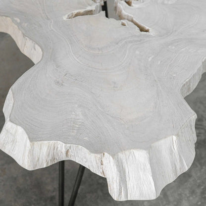 Trillium Coffee Table by Uttermost in bleached. Made from teak root with metal in a modern style.