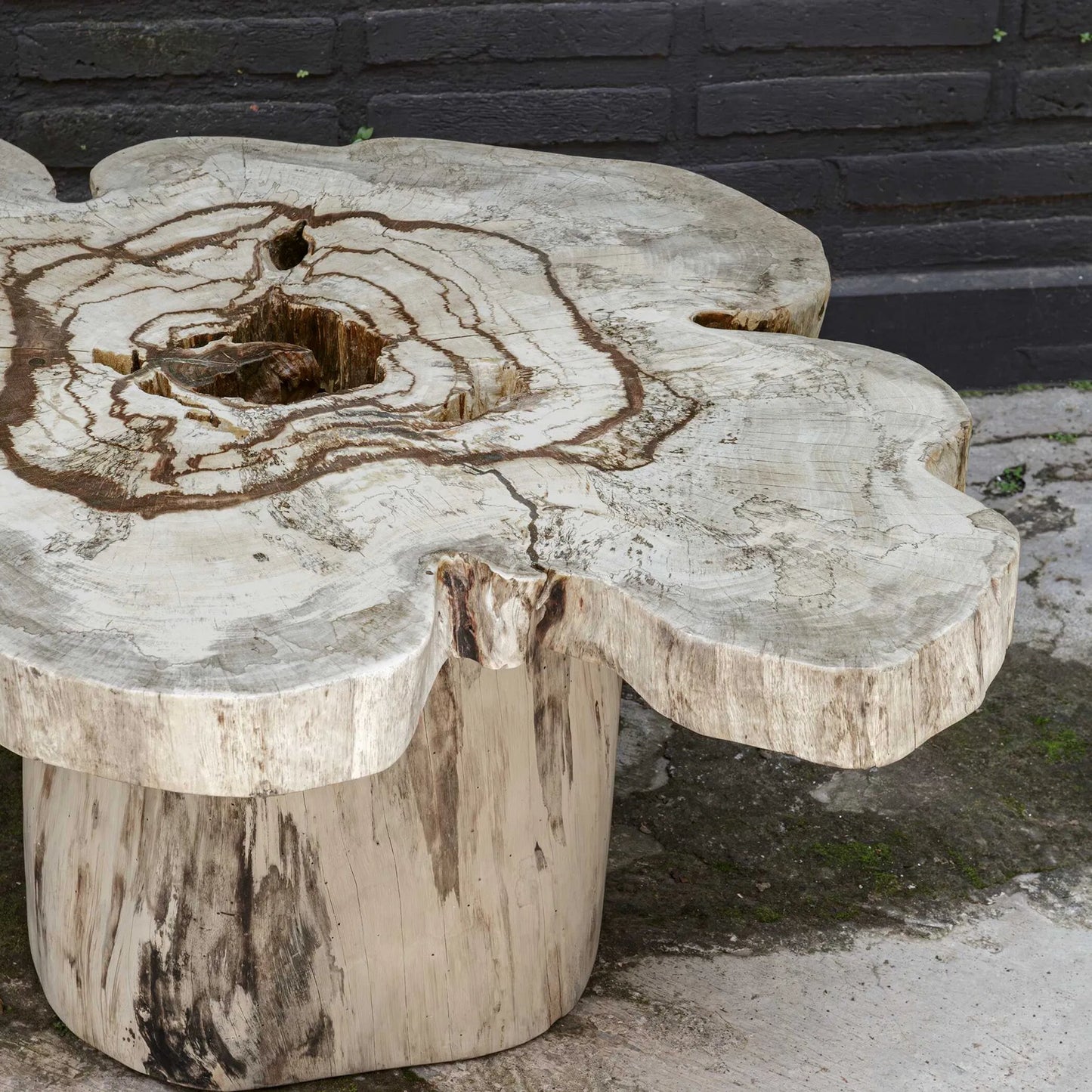 002 SI-2630692 | Closeup | Anzalone Solid Coffee Table by Uttermost in woodtone and wood. Made from tamarin wood in a unique style.