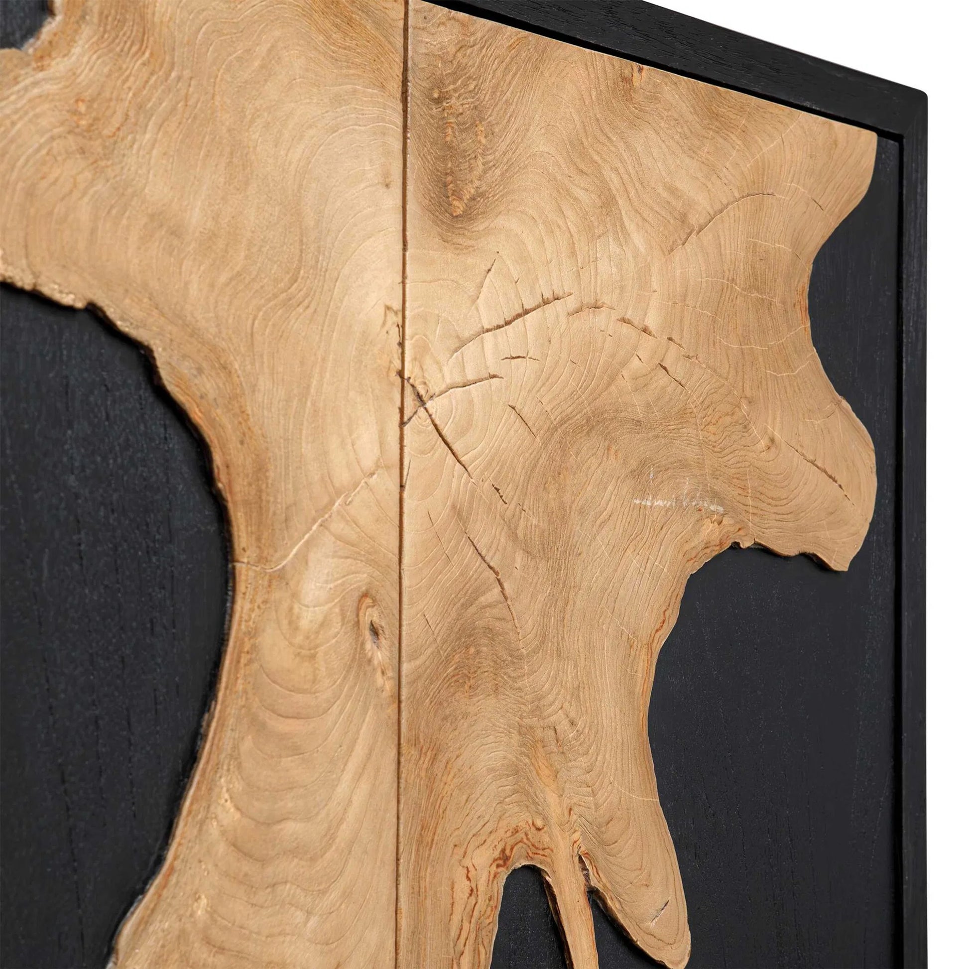 Andrei Root 2 Door Cabinet by Uttermost in black, woodtone and teak. Made from mdf mindi veneer, teak root wood in a unique style.