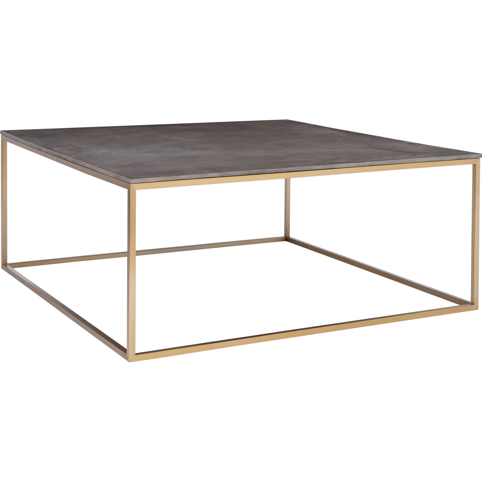 Trebon Modern Coffee Table by Uttermost. Made from stainless steel, faux shargreen with wrapped mdf in a modern style.