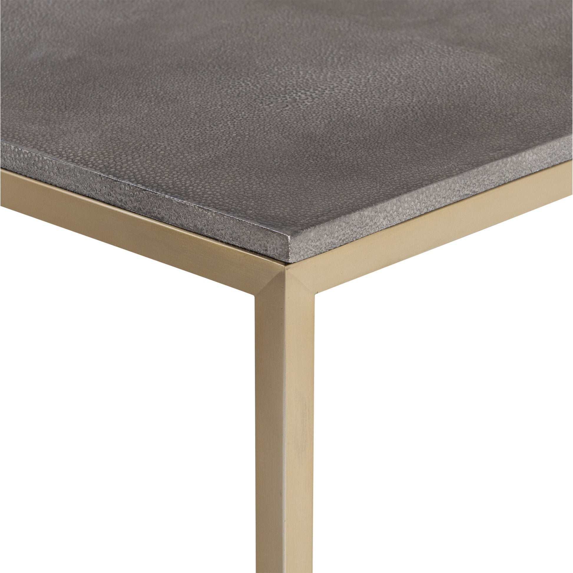 Trebon Modern Coffee Table by Uttermost. Made from stainless steel, faux shargreen with wrapped mdf in a modern style.