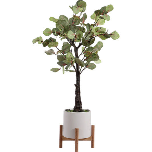 Honolulu Eucalyptus Potted Tree by HedgeApple Essentials in assorted. Made from unique in a modern style.