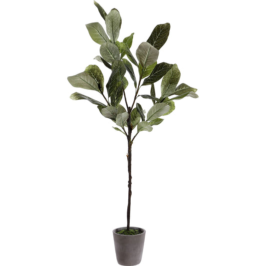 Honolulu Magnolia Potted Tree by HedgeApple Essentials in assorted. Made from 20% cement, 20% plastic, 15% metal, 45% fiber in a modern style.
