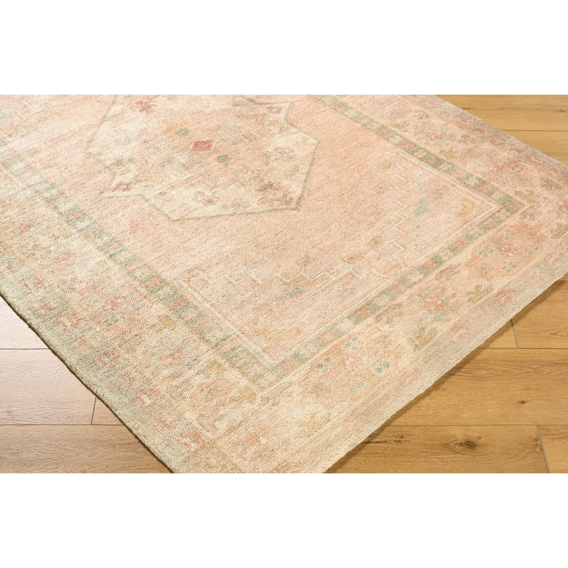 Luciana GALU-2301 Rug by Galey Alix x Livabliss in sage, sandstone, blush, ivory, dusty rose. Made from polyester in a unique style.