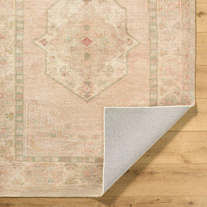 Luciana GALU-2301 Rug by Galey Alix x Livabliss in sage, sandstone, blush, ivory, dusty rose. Made from polyester in a unique style.